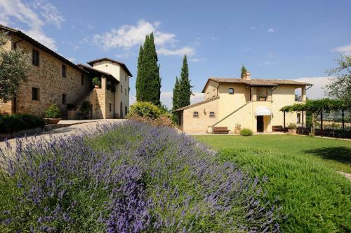 Agroturismo Ripa Relais Colle Del Sole