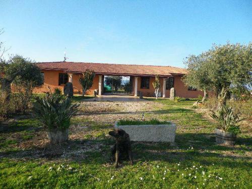 Agroturismo Cuccuruaio' B&B