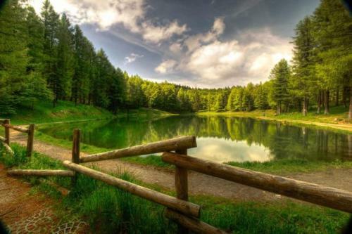 Campeggio Parco Dei Castagni