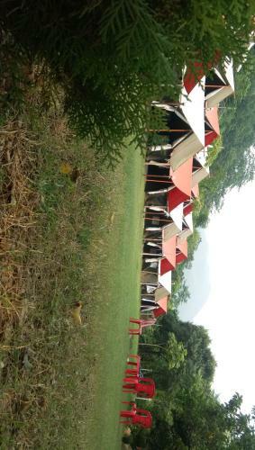 India Adventure Wild Nest