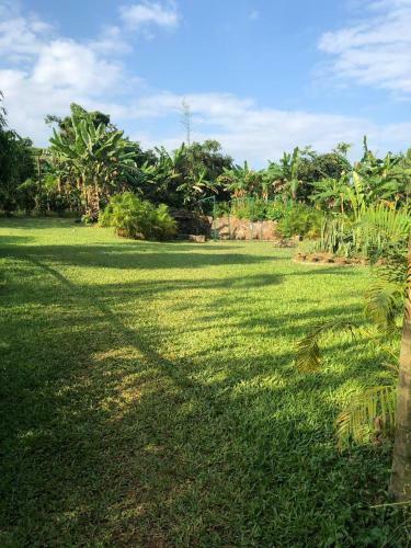 Hotel Chandaka Nature Resort
