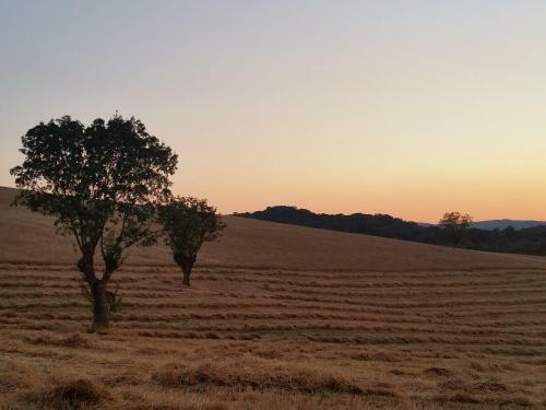 Agroturismo Agriturismo D' Epoca La Marianella