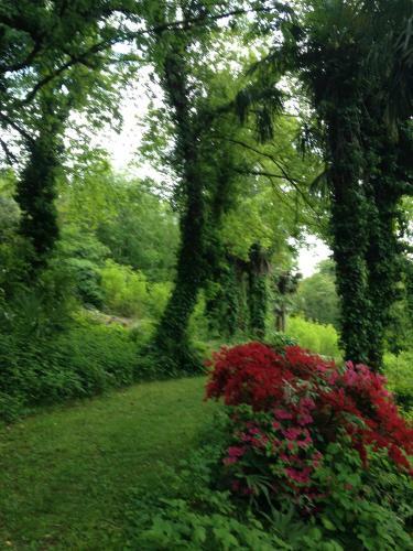 Apartment Bb Lago Nel Pagliaio