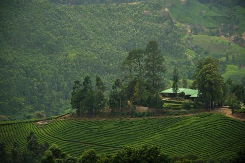 Hotel Talayar Valley Bungalow