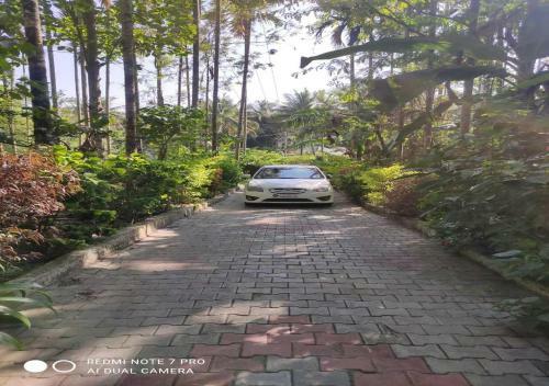 Hotel Coorg Anekad Jungle Stay Resort