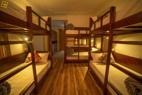 Albergue Alt Life - Manali