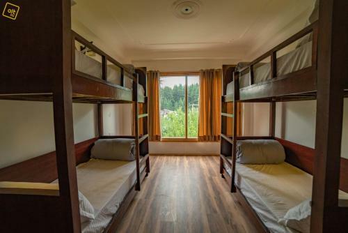 Albergue Alt Life - Manali