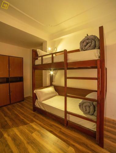 Albergue Alt Life - Manali