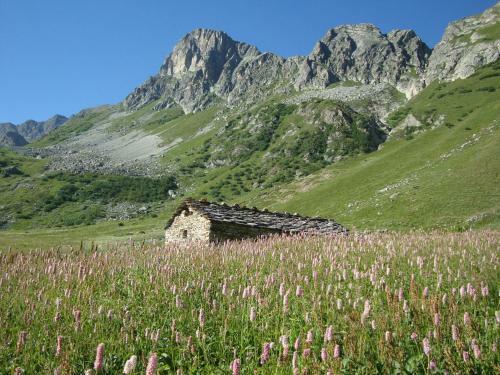 Bed & Breakfast Barba Bertu