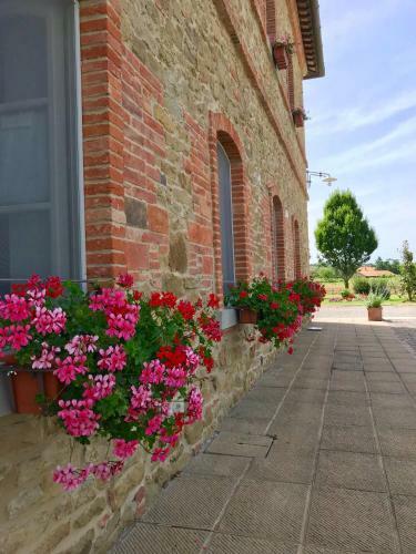 Agroturismo Agriturismo La Colmata