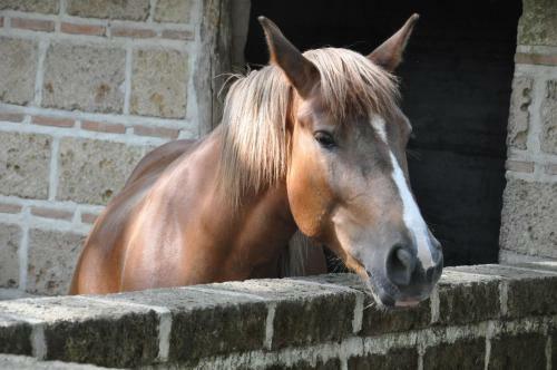 Agroturismo Agriturismo Ricciardelli