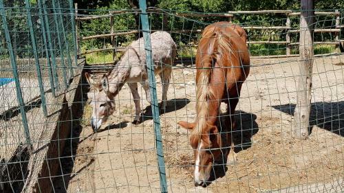 Agroturismo Agriturismo Ricciardelli