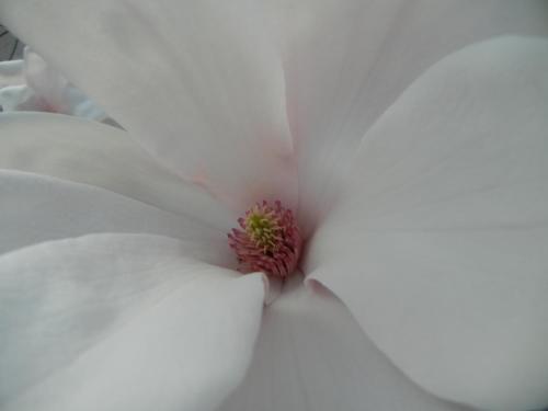 Hotel Albergo Miralaghi