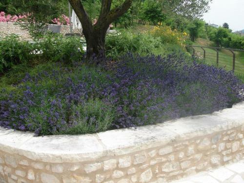 Bed & Breakfast Monti Del Sole