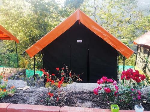 Greenlust Camps & Resorts