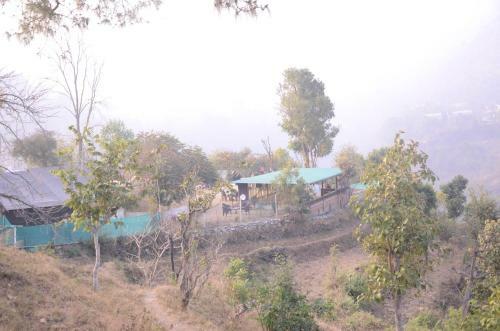 Greenlust Camps & Resorts