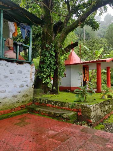 Greenlust Camps & Resorts
