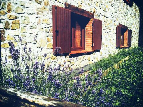 B&B Il Bosco Delle Fate