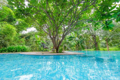 Hotel Beyond Stay Mahua Vann Pench