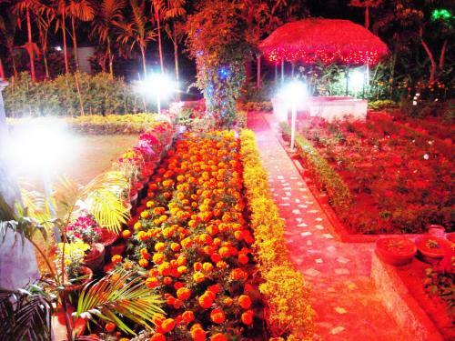 Hotel Rater Tara Diner Rabi Resort