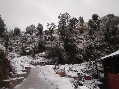 Hotel Skywood Resort