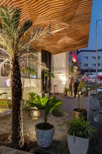 Hotel Ginger Surat City Centre