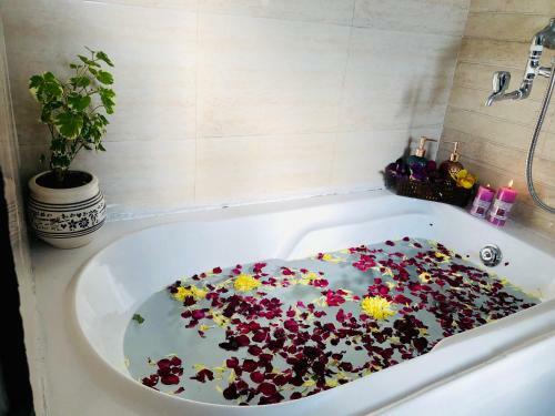 Hotel Casablanca Suites