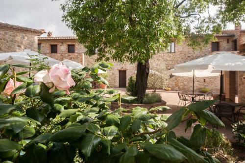 Apartamento Casale Giorgio Trilo 6