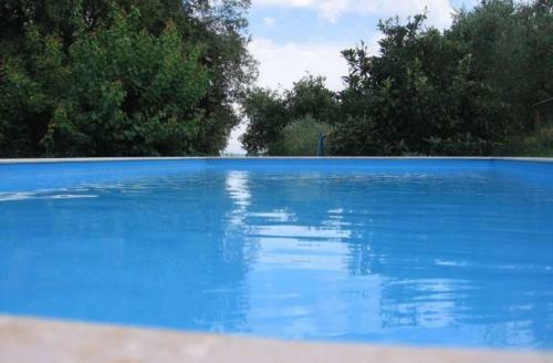 Hostal Podere Ficareto Farm