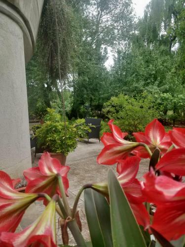 Bed & Breakfast Da Nonna Mariuccia