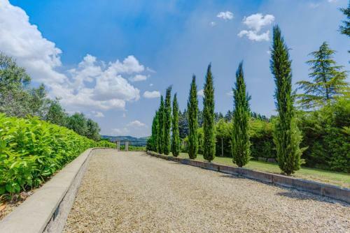 Villa Poggio Del Gallo 4