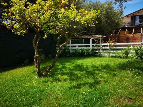 Bed & Breakfast Villa Teresa