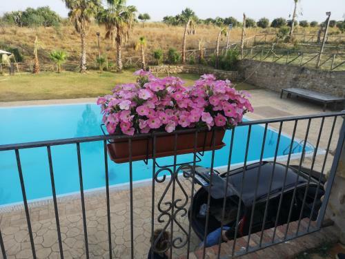 Agroturismo Sperone Agriturismo