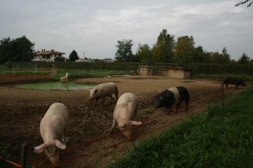 Agroturismo I Guardiani