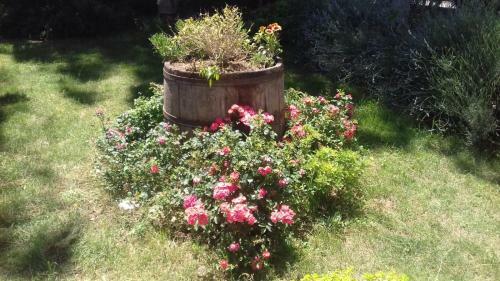 B&B Casa Losea