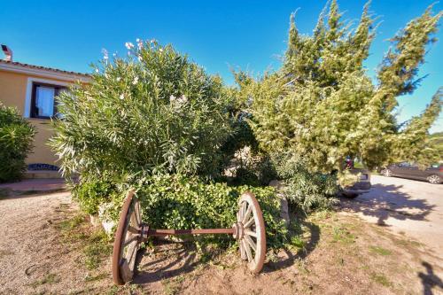 Agroturismo Agriturismo Sardo