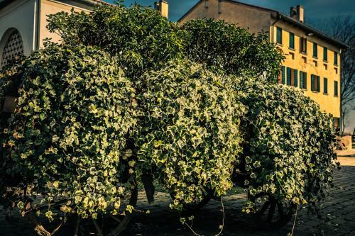 Agroturismo Le Vigne Morosina