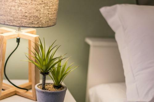 Family Apartments Santo Stefano