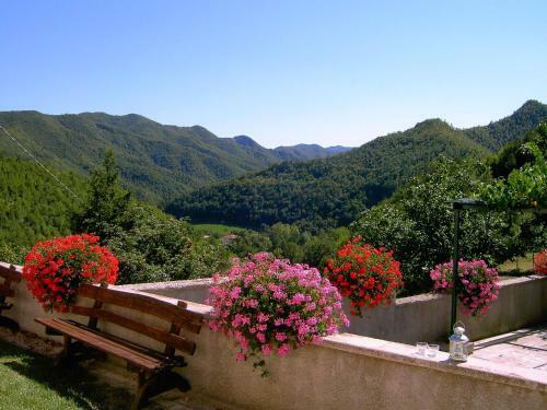 Fascinating Apartment In Borgo Pace With Barbecue