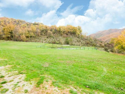 Inviting Apartment In Borgo Pace Amidst Hills