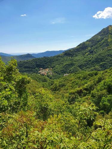 Il Bosco Di Campo Marzano Garden Apartment