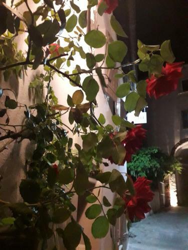 Hotel Al Biancospino- Camere