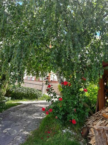 Apartamento Appartamento Brez