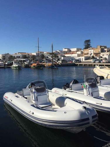 Villa Con Piscina 200 Mt Dalla Piaggia 10 Persone