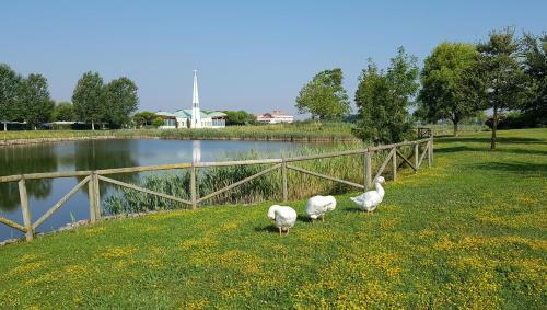 Apartamento Pioppi Lido Altanea
