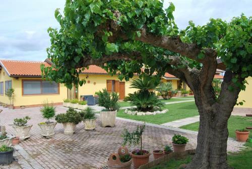 Bed & Breakfast Le Terre Di Bac