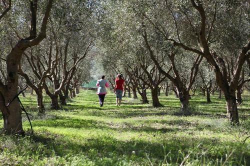 Agroturismo Agriturismo A'sena-runcatini