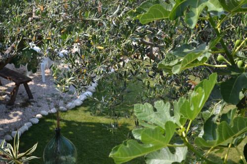 Apartamento Giardinotto Casa Vacanze