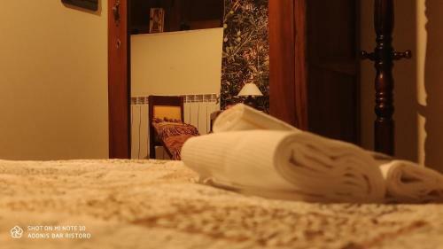 Hostal Affittacamere Adonis
