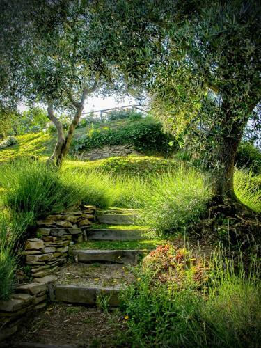 Luxury 6-bed Tuscan Villa Near Lucca